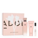 Nude Musk Estuche Nude Musk Estuche